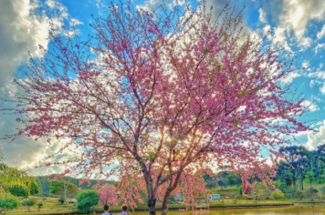 Foto - Nossa Cidade